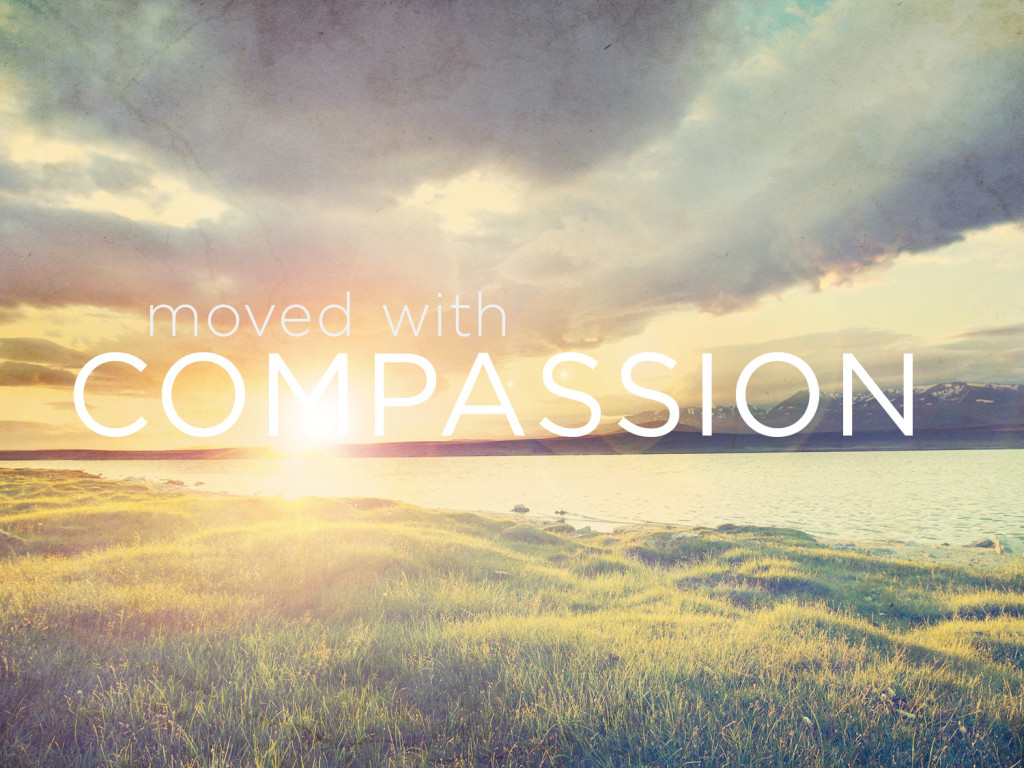 Compassion Wonderings Of ASacredRebel